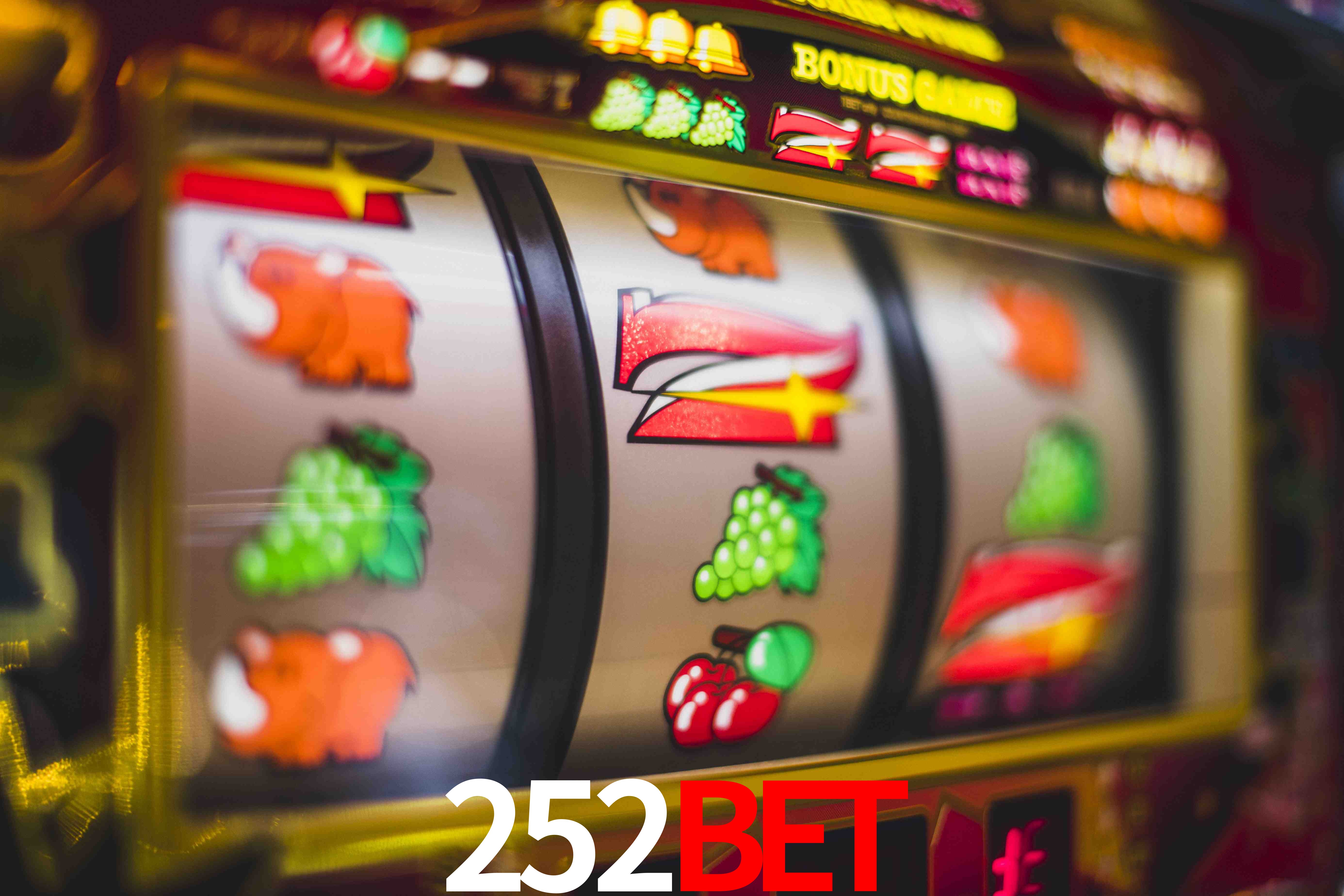 Sports Statistics 252bet